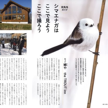 faura（ファウラ）63号【2021．4．25発行】