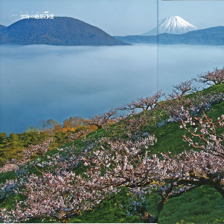 faura（ファウラ）44号【2014.6.15発行】
