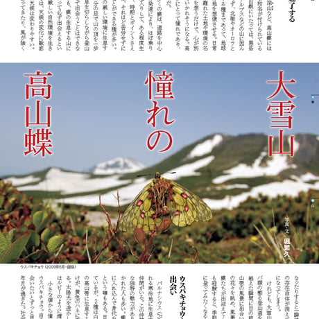 faura（ファウラ）48号【2015.6.15発行】