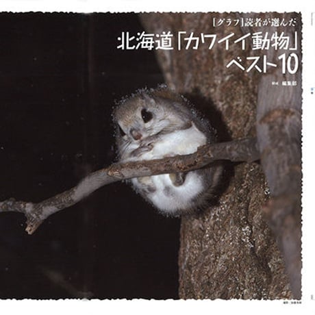 faura（ファウラ）45号【2014.9.15発行】