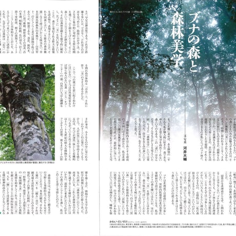 faura（ファウラ）37号【2012.9.15発行】