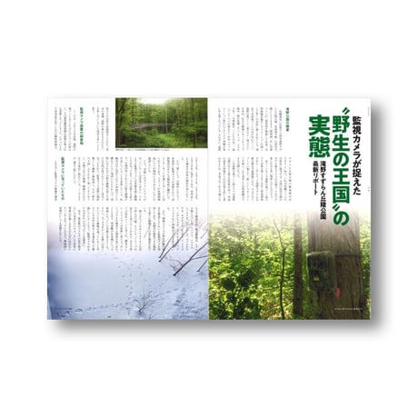 faura(ファウラ）64号【2022・04・25】