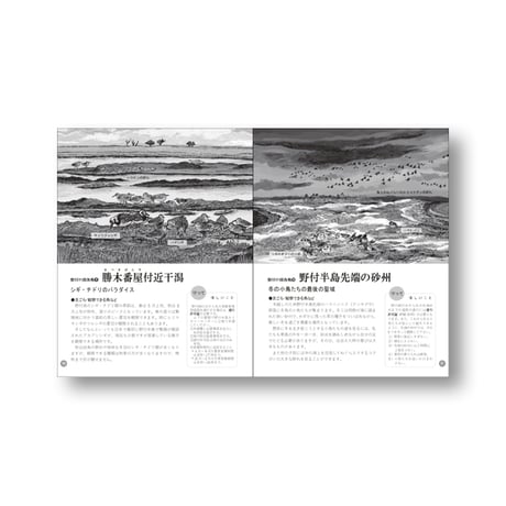 野付半島野鳥図鑑   faura編集部編