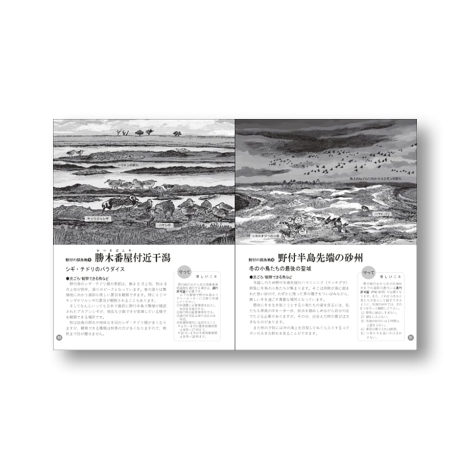 65fbd9ab6cb14b0033a5a5e7