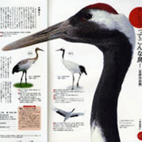 faura（ファウラ）26号【2009.12.15発行】