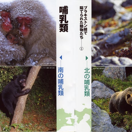 faura（ファウラ）18号【2007.12.15発行】