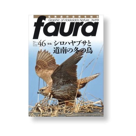 faura（ファウラ）46号【2014.12.15発行】