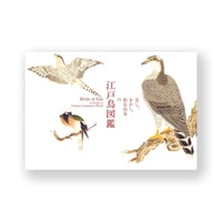 美し、をかし、和名由来の江戸鳥図鑑