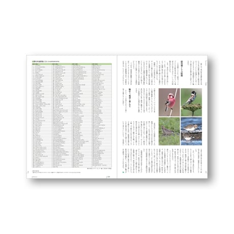 faura（ファウラ）66号【2024．4．25発行】