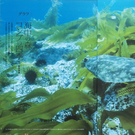 faura (ファウラ）50号【2015.12.15発行】