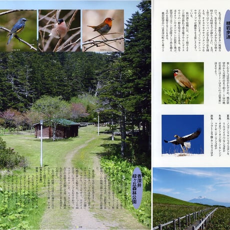 faura（ファウラ）24号【2009.6.15発行】