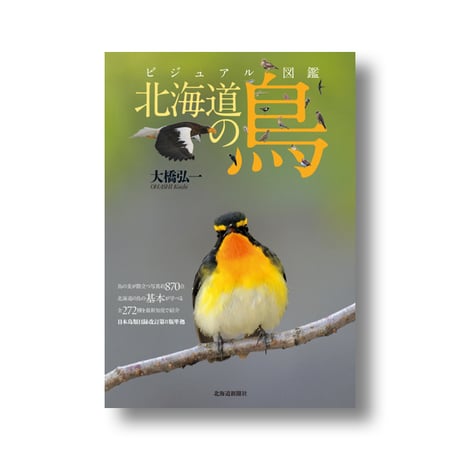 写真記録　日本鳥類狩猟法　堀内讃位　野鳥　限定版 日本伝統狩猟法 : 写真記録(堀内讃位 著) / 古本、中古本、古