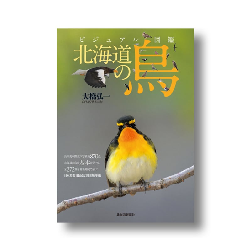ビジュアル図鑑 北海道の鳥 【2025・6・21発行】 | faura store