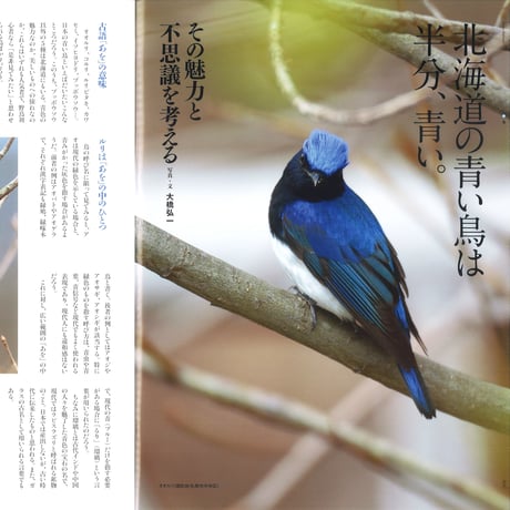 faura （ファウラ）60号【2018.6.15発行】