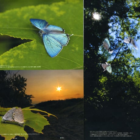 faura（ファウラ）23号【2009.3.15発行】