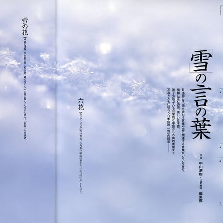 faura（ファウラ）34号【2011.12.15発行】