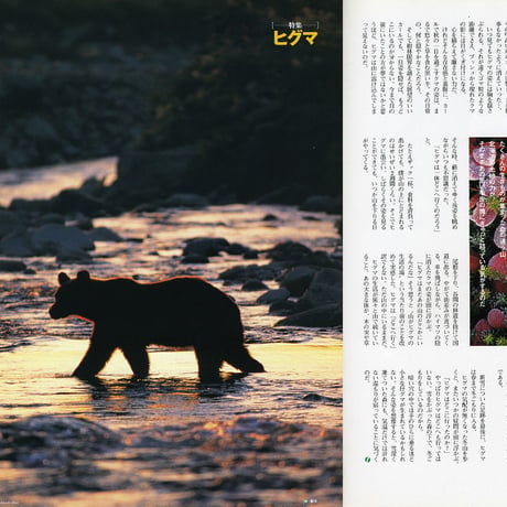 faura（ファウラ）創刊号【2003.9･18発行】