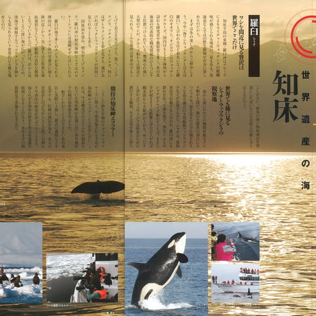 faura（ファウラ）47号【2015.3.15発行】
