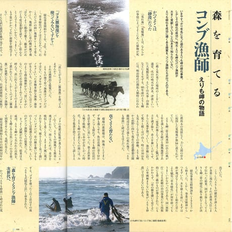 faura (ファウラ）50号【2015.12.15発行】