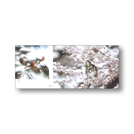 上戸鉄雄写真集　野鳥彩季ほっかいどう【完売しました】