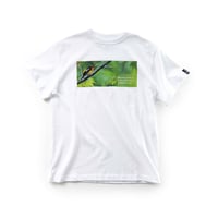 Tシャツ【キビタキ】Narcissus Flycatcher SNOW WHITE