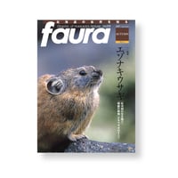 faura（ファウラ）17号【2007.9.15発行】