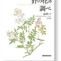 野の花の調べ
