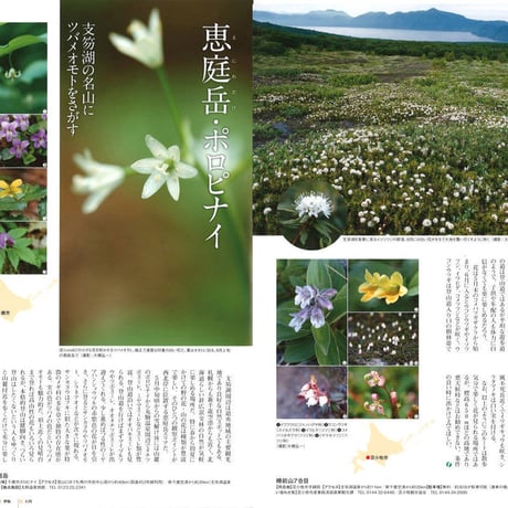 faura（ファウラ）39号【2013.3.15発行】