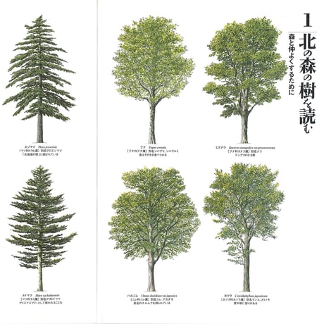 faura（ファウラ）3号【2004.3.15発行】