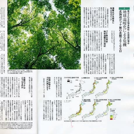 faura（ファウラ）29号【2010.9.15発行】
