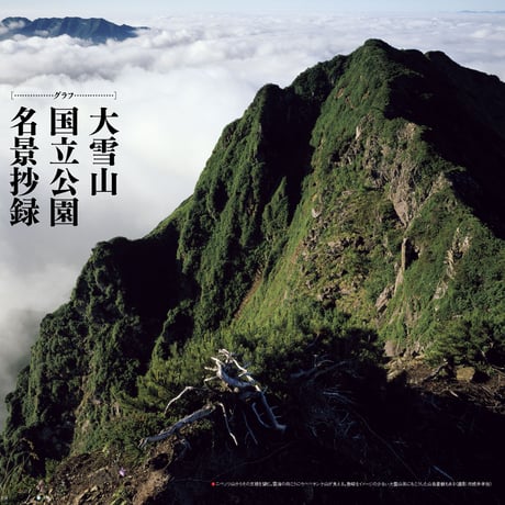 faura（ファウラ）48号【2015.6.15発行】