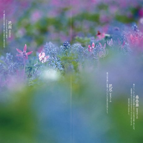 faura（ファウラ）39号【2013.3.15発行】