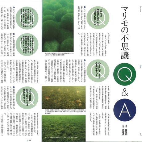 faura（ファウラ）43号【2014.3.15発行】
