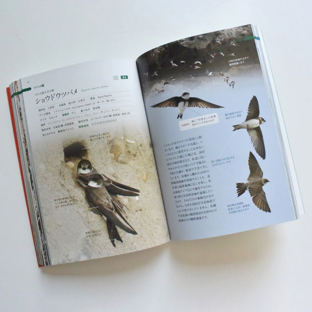 【改訂版】さっぽろ野鳥観察手帖　SAPPORO BIRD GUIDE