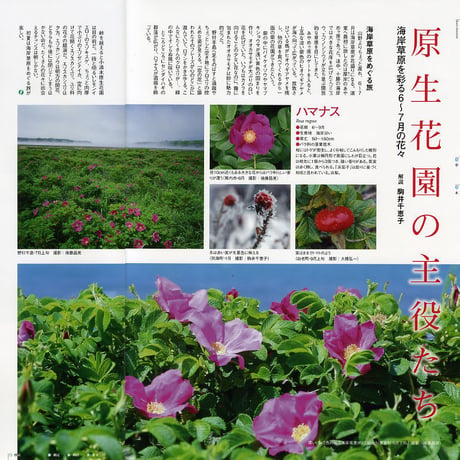 faura（ファウラ）32号【2011.6.15発行】