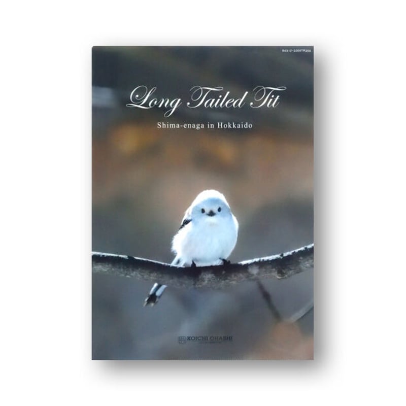 囀る鳥は羽ばたかないクリアファイル19枚セット ハシビロコウのクリア