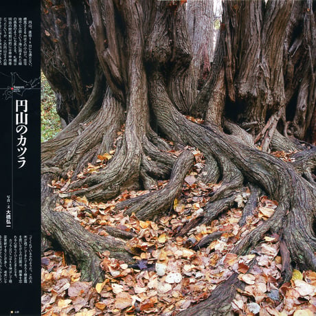 faura（ファウラ）35号【2012.3.15発行】