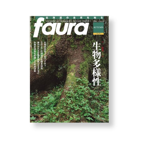 faura（ファウラ）29号【2010.9.15発行】