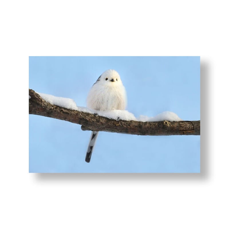 ポストカードBOOK 森の妖精 シマエナガⅡ | faura store