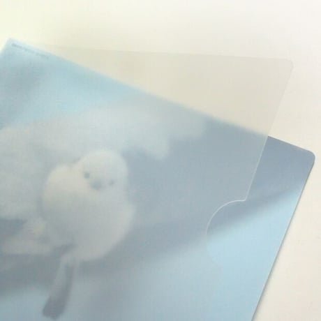 大橋弘一野鳥クリアファイル【雪の妖精シマエナガ】