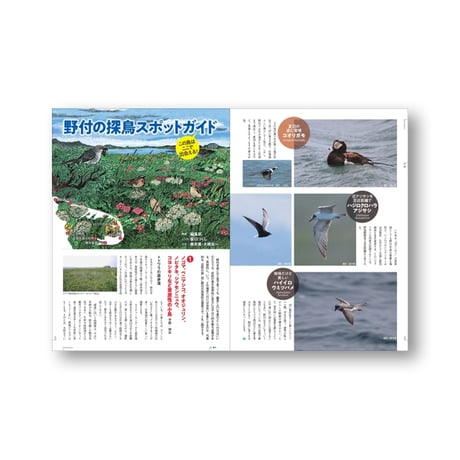 faura（ファウラ）66号【2024．4．25発行】