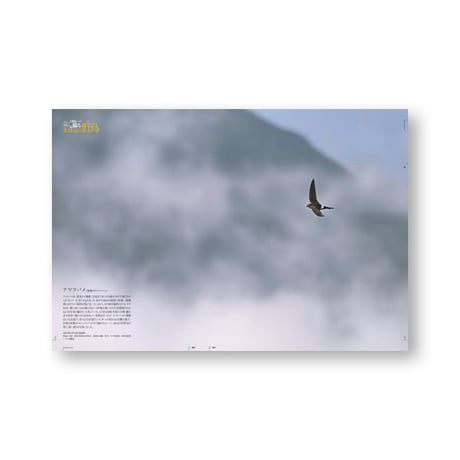 faura（ファウラ）67号【2025・4・25発行】