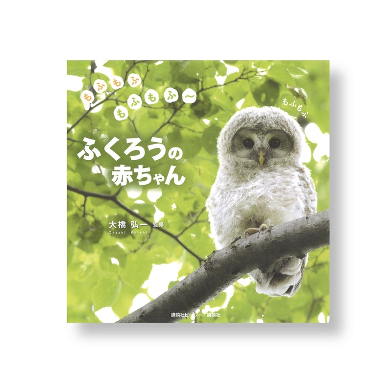 フクロウ赤ちゃん アナホリフクロウを育ててみた 後編 - 自然動物園 -