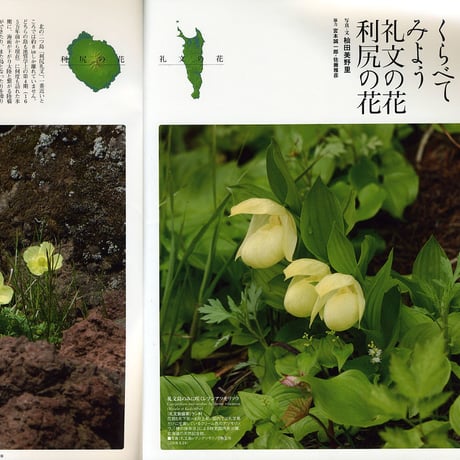 faura（ファウラ）24号【2009.6.15発行】