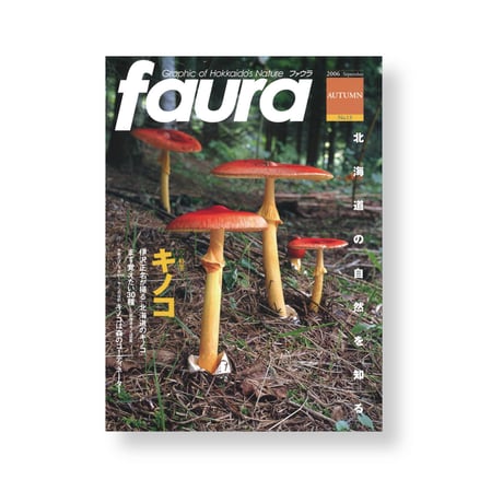 faura（ファウラ）13号【2006.9.15発行】