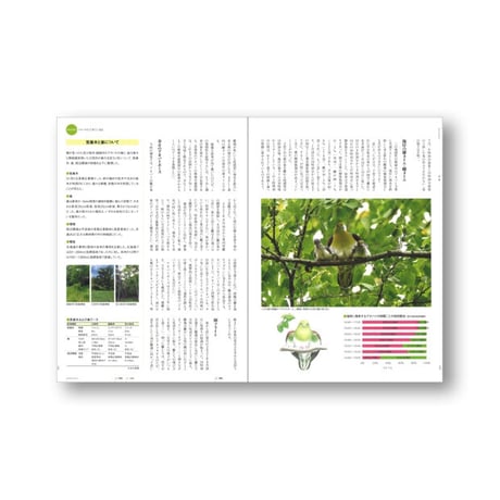 faura（ファウラ）65号【2023・4・25発行】