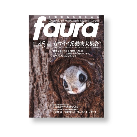 faura（ファウラ）45号【2014.9.15発行】