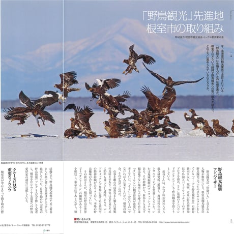 faura(ファウラ)54号【2016.12.15発行】