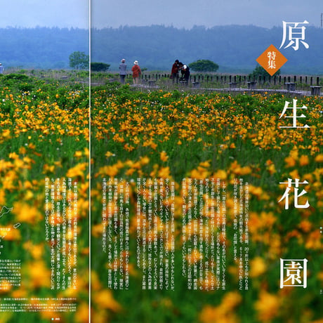 faura（ファウラ）32号【2011.6.15発行】