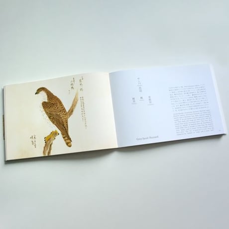 美し、をかし、和名由来の江戸鳥図鑑